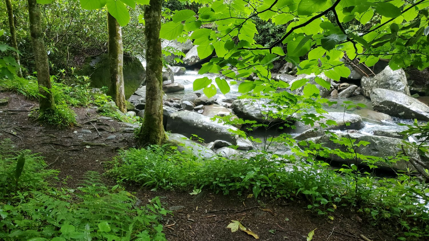 Porters Creek to Fern Falls 